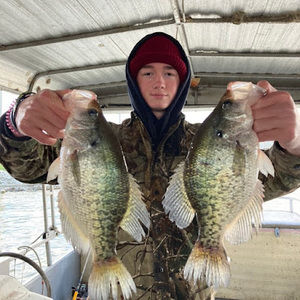 Meet your Posher, Tanner